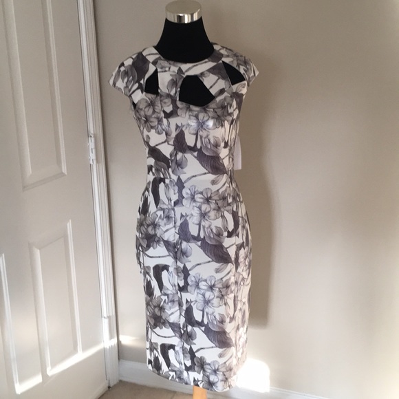 Women’s Dress - Size 12 - Picture 1 of 3